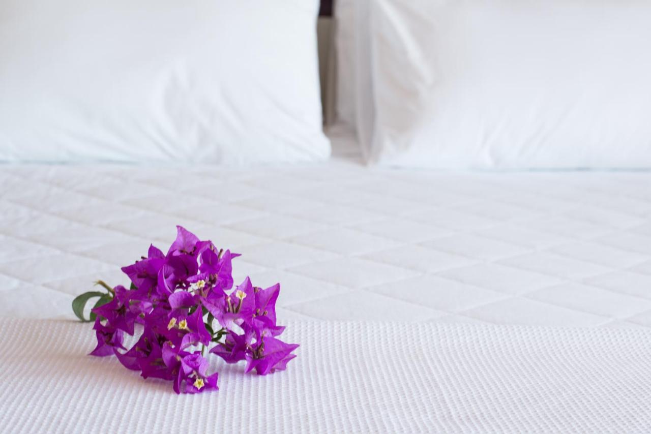 Hotel Ilha Branca Exclusive 4*